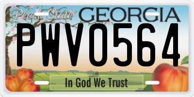 GA license plate PWV0564