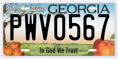 GA license plate PWV0567