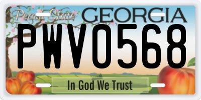 GA license plate PWV0568