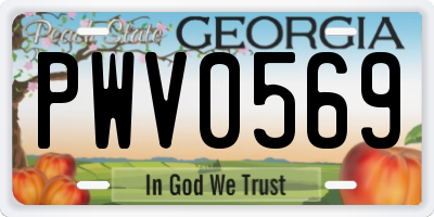 GA license plate PWV0569