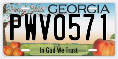 GA license plate PWV0571