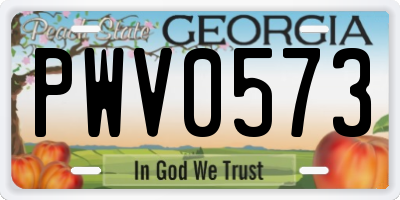 GA license plate PWV0573