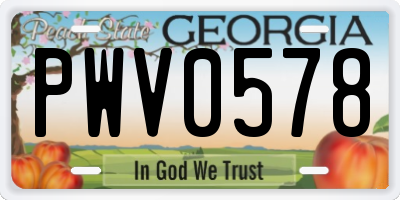 GA license plate PWV0578