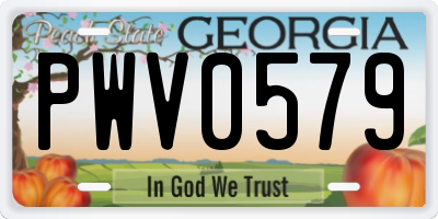 GA license plate PWV0579