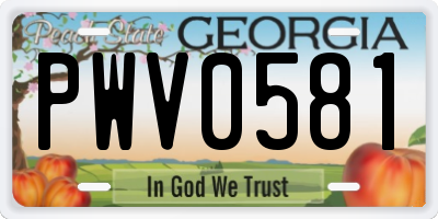 GA license plate PWV0581
