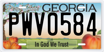 GA license plate PWV0584