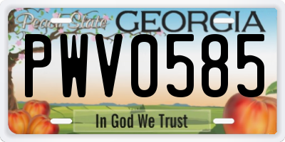 GA license plate PWV0585