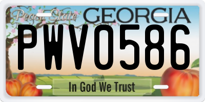 GA license plate PWV0586