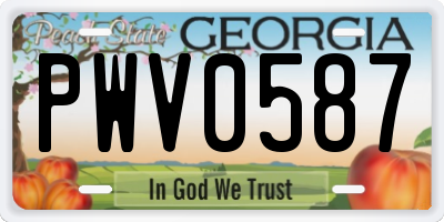 GA license plate PWV0587