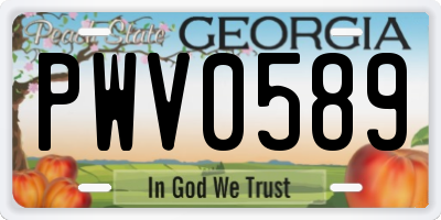 GA license plate PWV0589