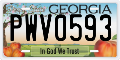 GA license plate PWV0593