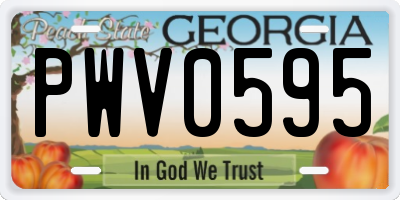 GA license plate PWV0595