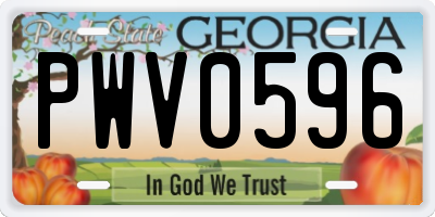 GA license plate PWV0596