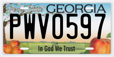 GA license plate PWV0597