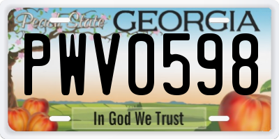 GA license plate PWV0598
