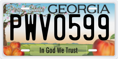 GA license plate PWV0599