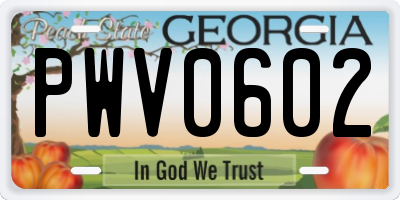 GA license plate PWV0602