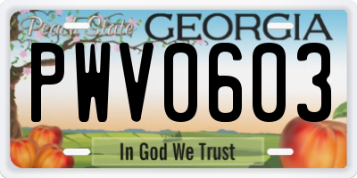 GA license plate PWV0603