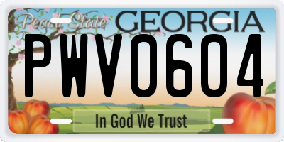 GA license plate PWV0604