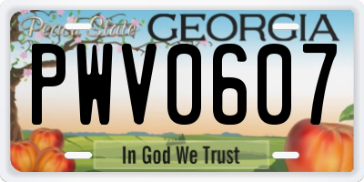 GA license plate PWV0607