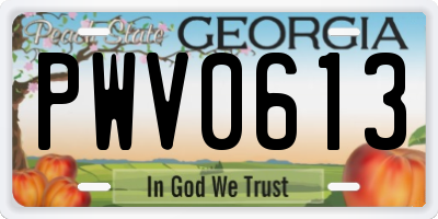 GA license plate PWV0613