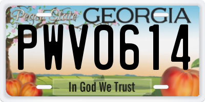 GA license plate PWV0614