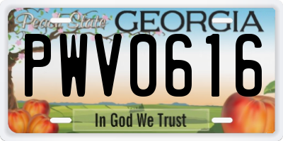 GA license plate PWV0616