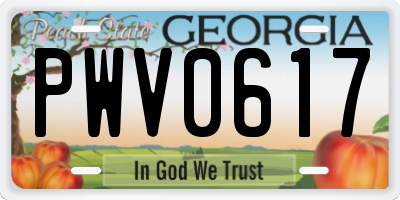 GA license plate PWV0617