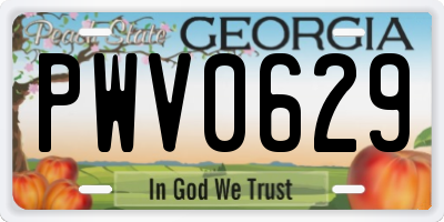 GA license plate PWV0629
