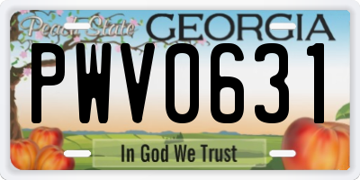 GA license plate PWV0631