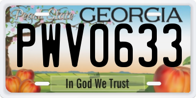 GA license plate PWV0633