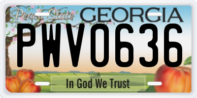 GA license plate PWV0636
