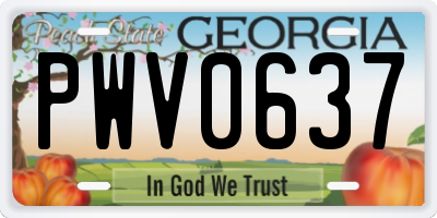GA license plate PWV0637