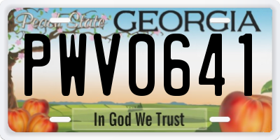 GA license plate PWV0641