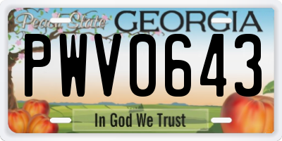 GA license plate PWV0643