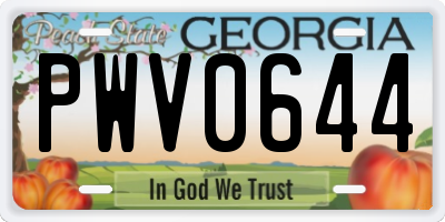 GA license plate PWV0644