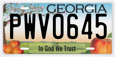 GA license plate PWV0645