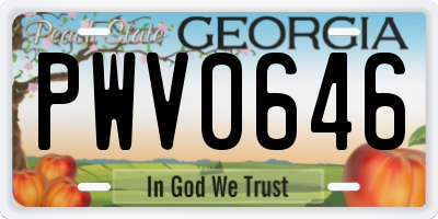 GA license plate PWV0646