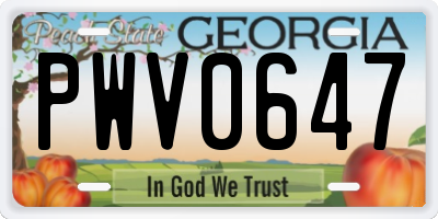 GA license plate PWV0647