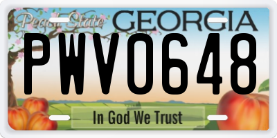 GA license plate PWV0648