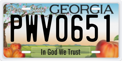 GA license plate PWV0651