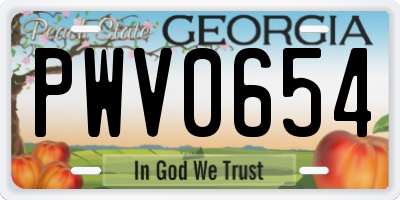 GA license plate PWV0654