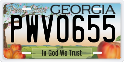 GA license plate PWV0655