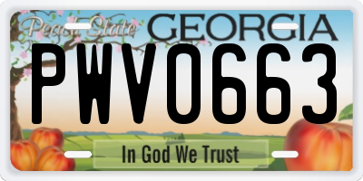 GA license plate PWV0663