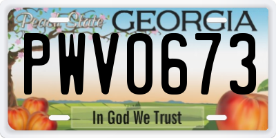 GA license plate PWV0673