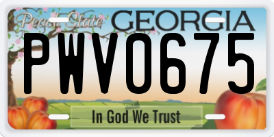 GA license plate PWV0675