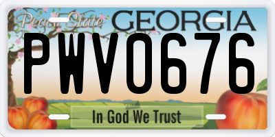 GA license plate PWV0676