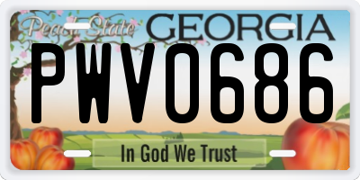 GA license plate PWV0686