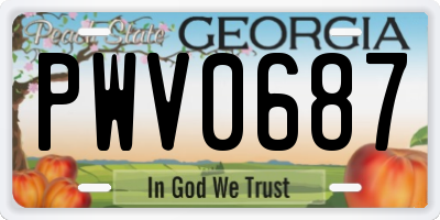 GA license plate PWV0687