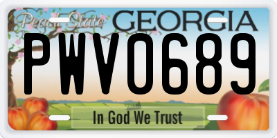 GA license plate PWV0689